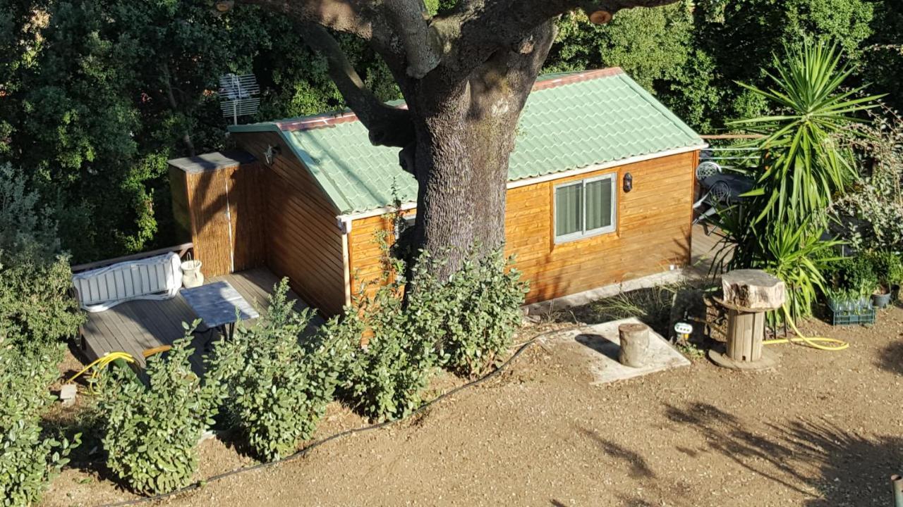 Le Petit Chalet بورْتِكْسْيو المظهر الخارجي الصورة